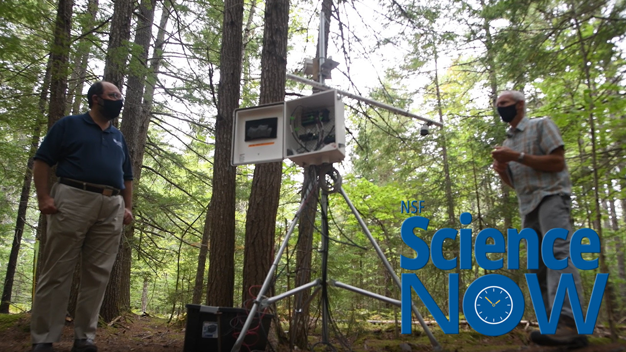 scientists in a forest